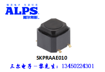 SKPRAAE010.png SKPRAAE010.png