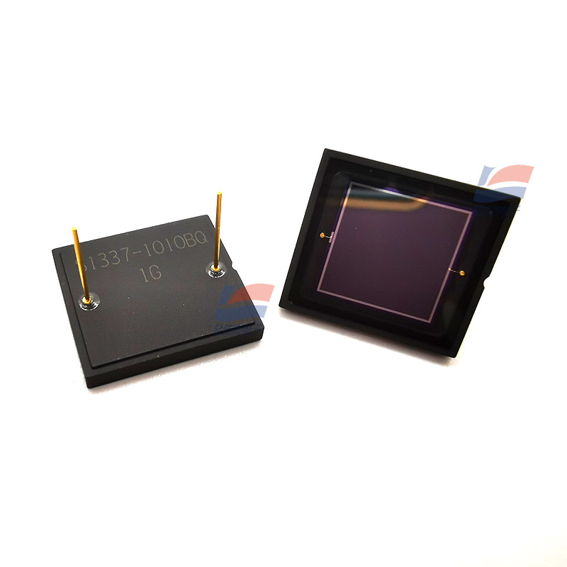 S1337-1010BQ 06.jpg S1337-1010BQ 06.jpg